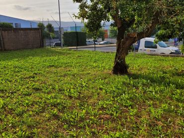Terrenos y solares en venta en A Gándara
