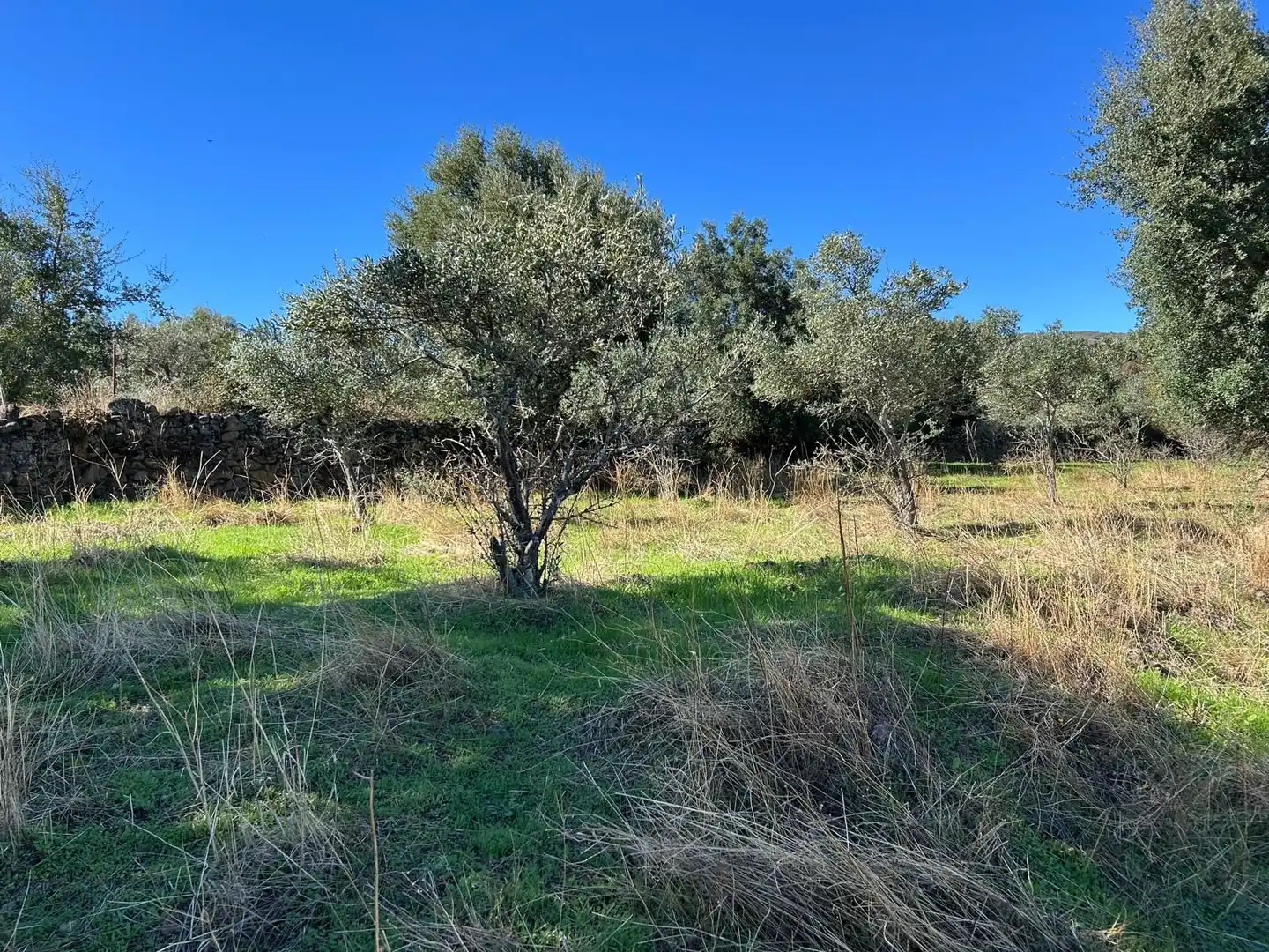 Terreni e lotti in vendita a Hoyos, imagen 8