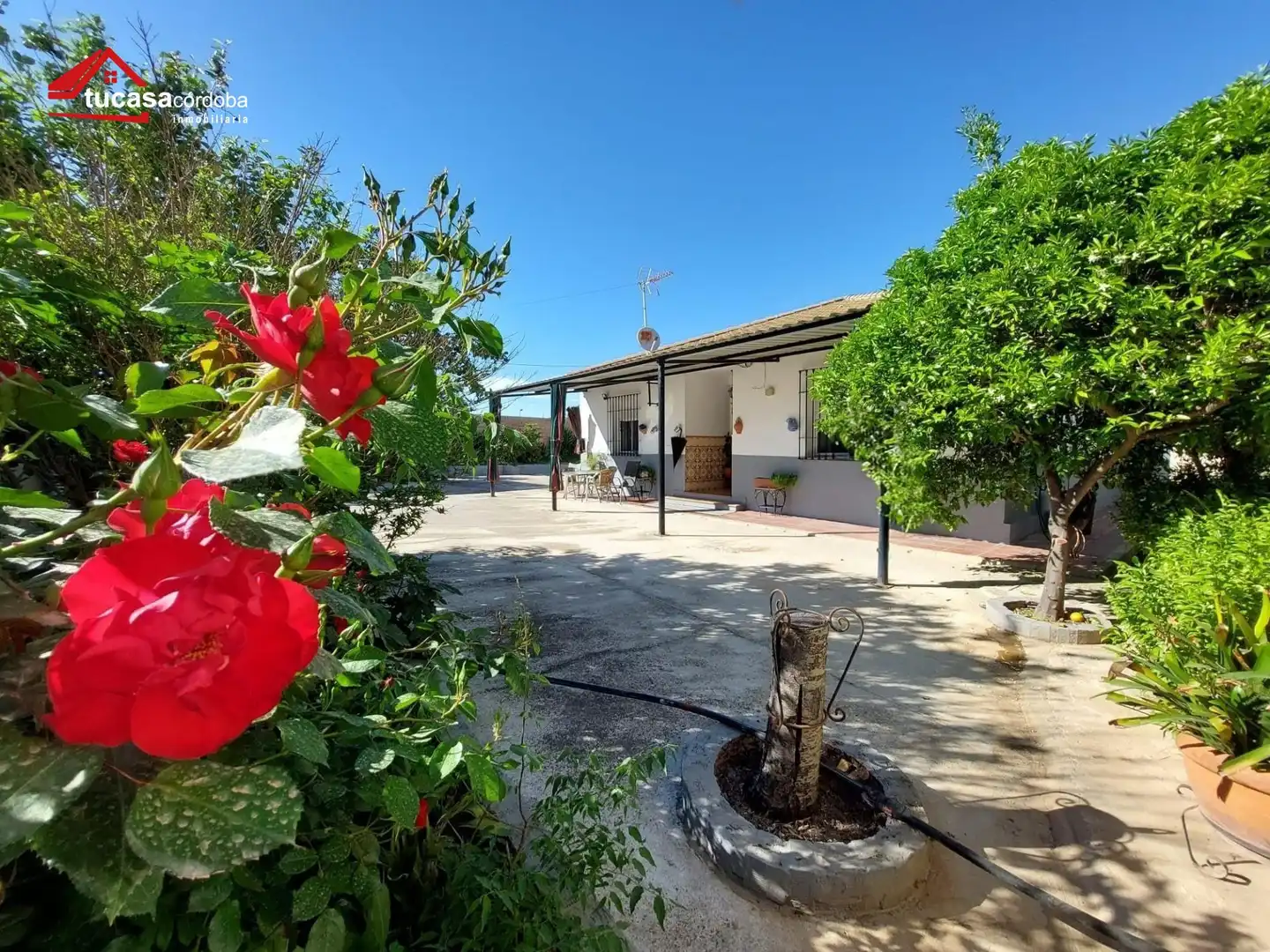 Vista exterior de Finca rústica en venda en Montemayor amb Traster, Piscina i Moblat