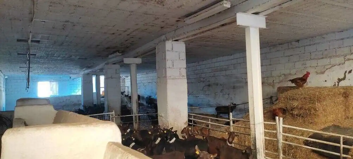 Maison rustique à vendre à Vélez-Rubio, imagen 16