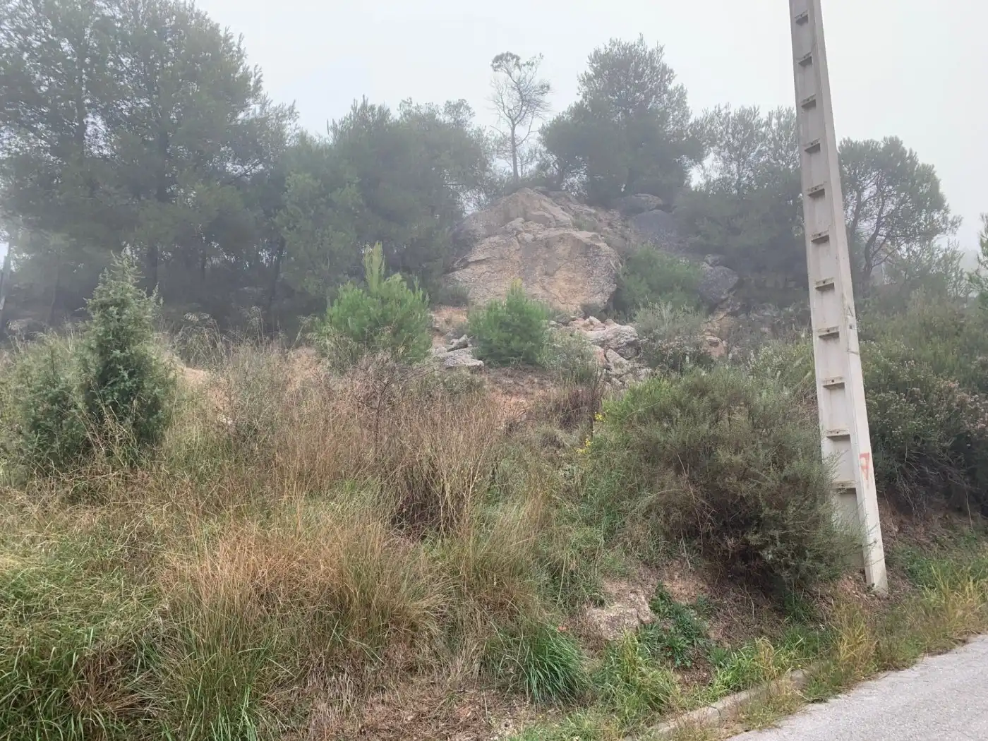 Terrenys i solars en venda a La Pobla de Claramunt, imagen 2