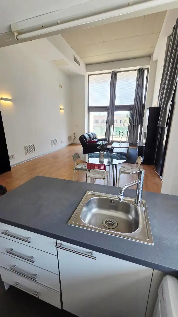 Lofts for sale in Carrer de la Creu Roja, Vara de Quart