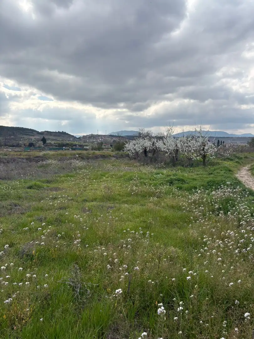 Terreno rústico en venta en Villamediana de Iregua, imagen 4