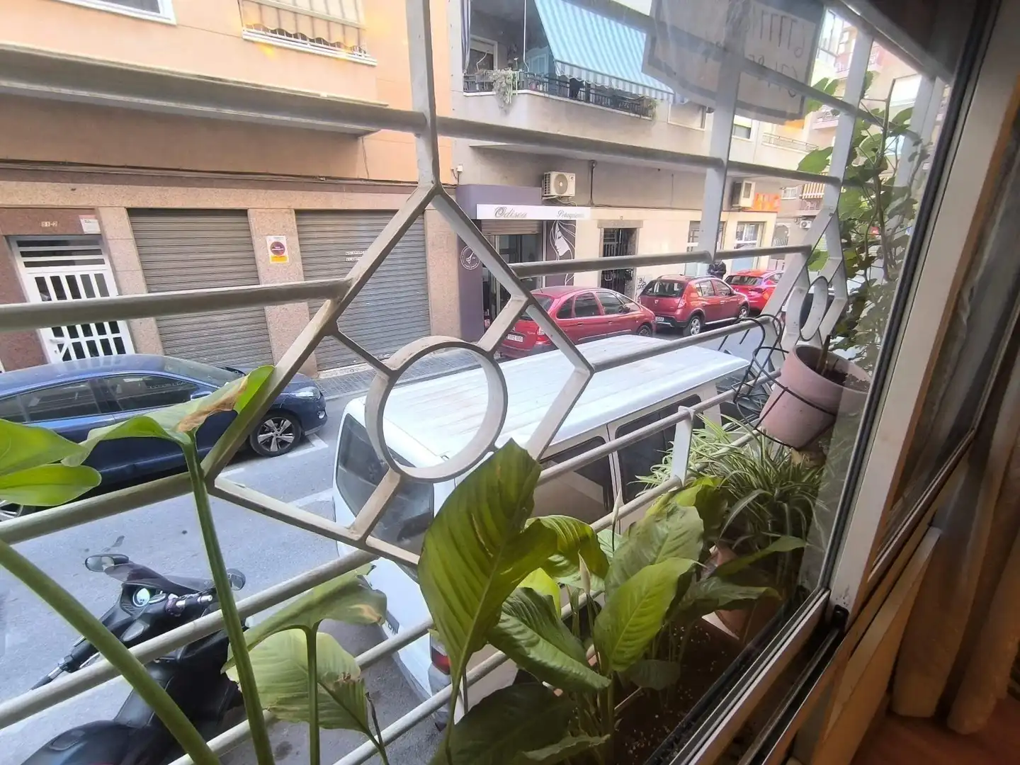 Bajo en venta en Calle ALICANTE, imagen 15