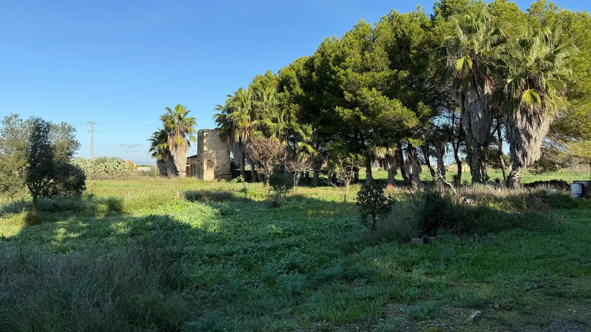 Finca rústica en venta en Camino del palmer, 528, Zona Rústica - Interior