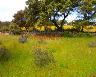 Country house for sale in Millanes