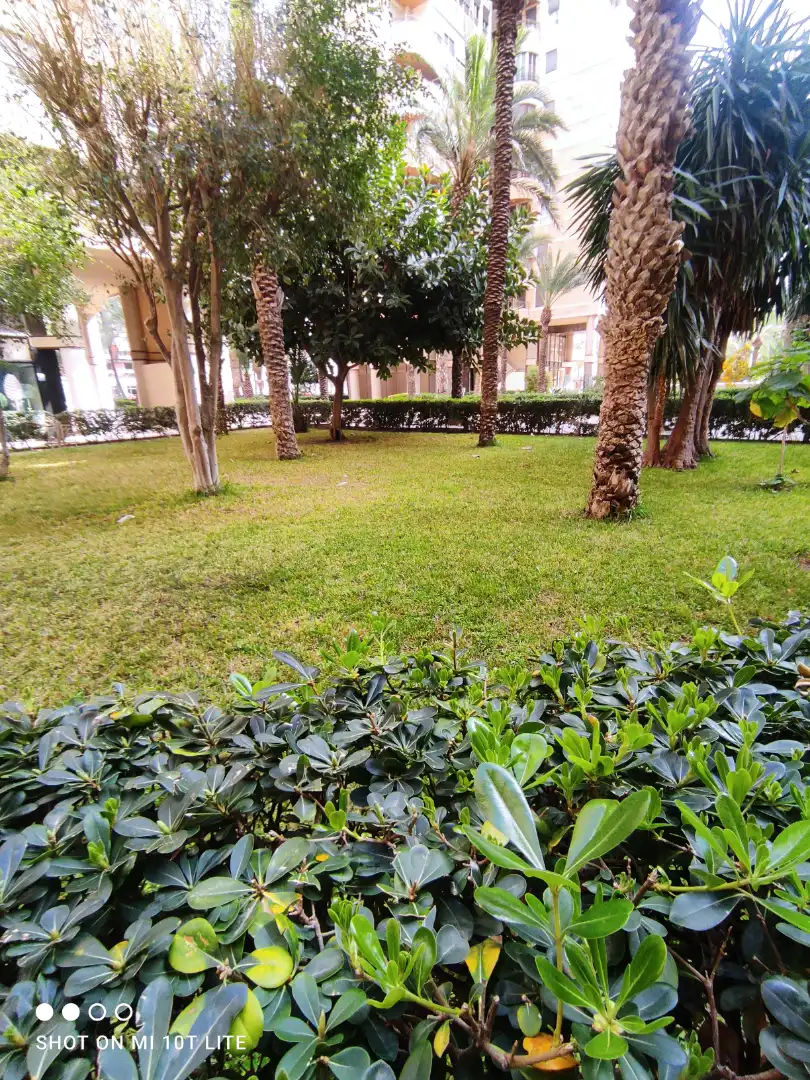 Flat with terrace for sale in Elche ciudad, imagen 22
