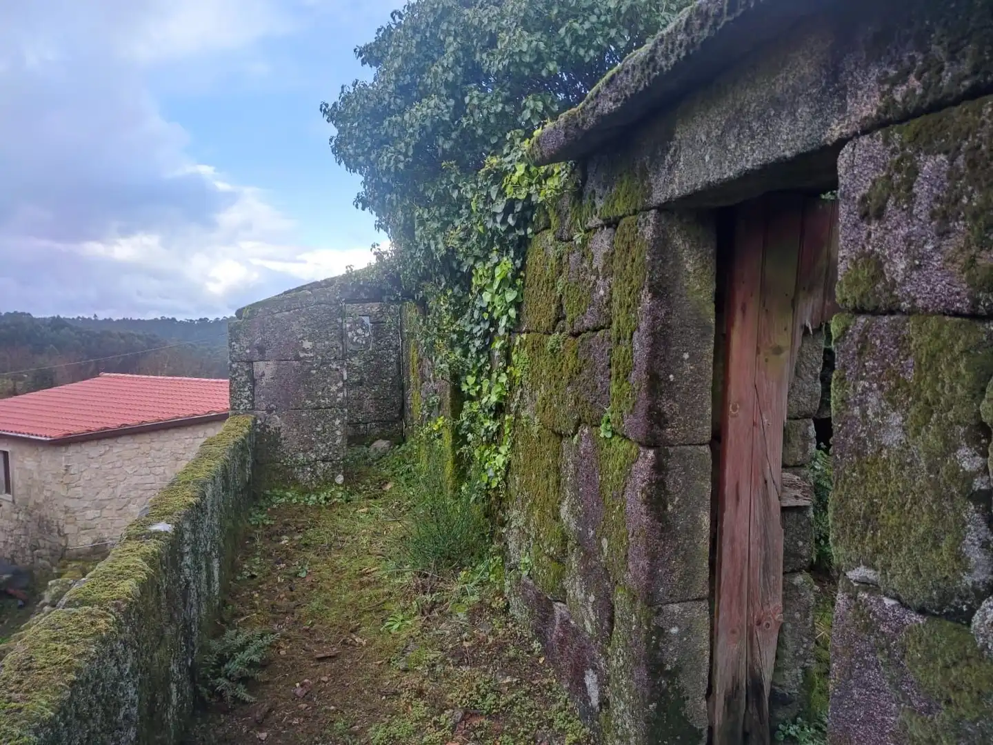 Terreno rustico in vendita a Ponte Caldelas, imagen 9