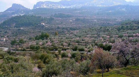 Foto 2 de Casa o xalet en venda a Confrides, Alicante