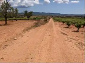 Terrain rustique à vendre à Requena, imagen 7