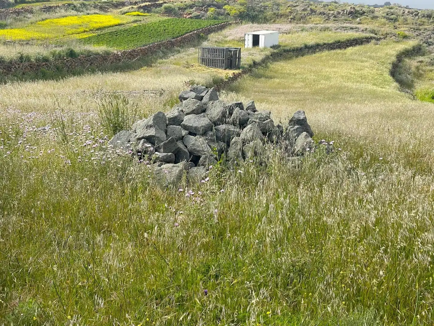 Rural land for sale in LA PASADILLA, imagen 8