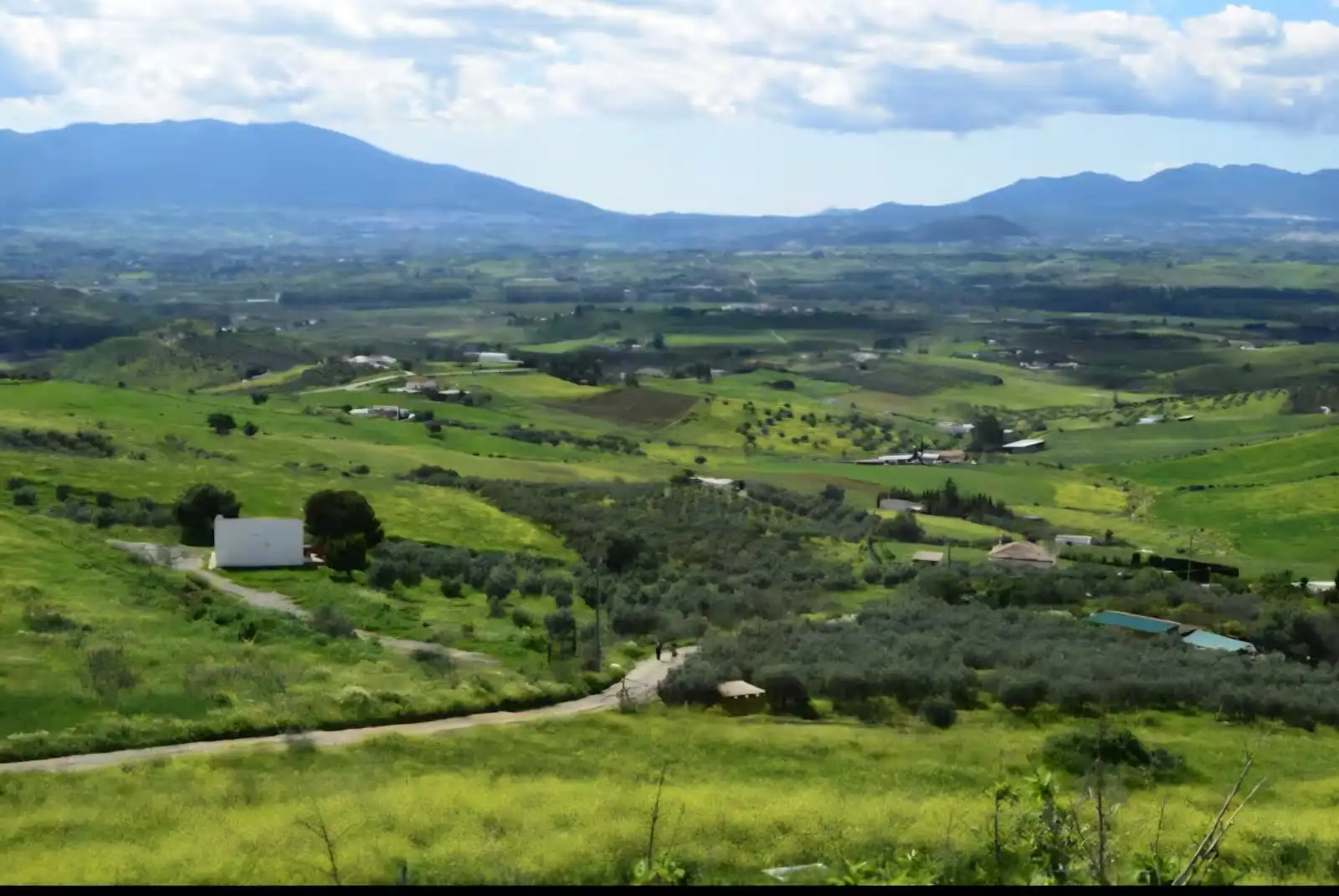 Vista exterior de Finca rústica en venda en Pizarra