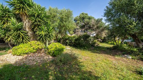 Foto 4 de Residencial en venda a Carrer Pizarro, 4, Badia Blava - Badia Gran - Tolleric, Llucmajor