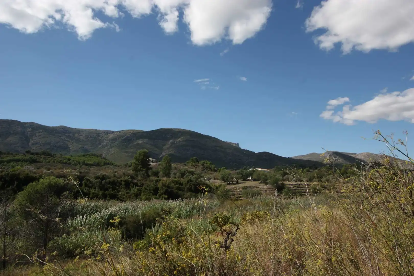 Terreny residencial en venda a Murla, imagen 2