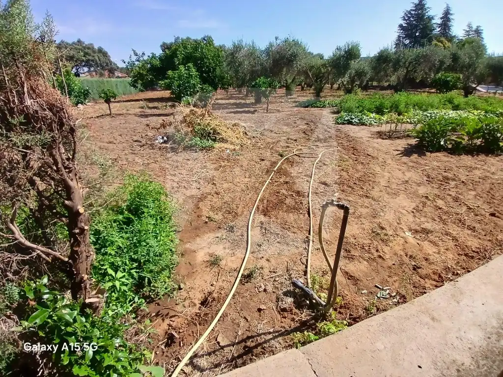 Villa avec jardin à vendre à calle del calero, imagen 31