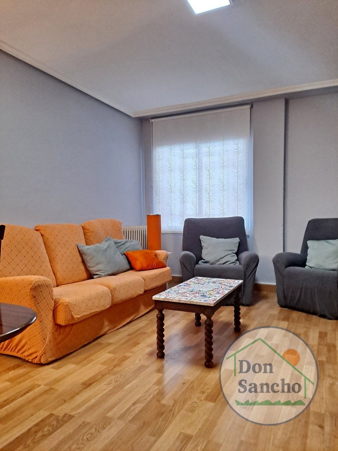 Sala d'estar de Pis de lloguer en Valladolid Capital amb Calefacció, Terrassa i Moblat