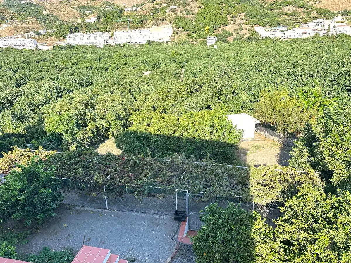 Casa rústica amb terrassa en venda a Zanahoria Pol 25 357B, imagen 36