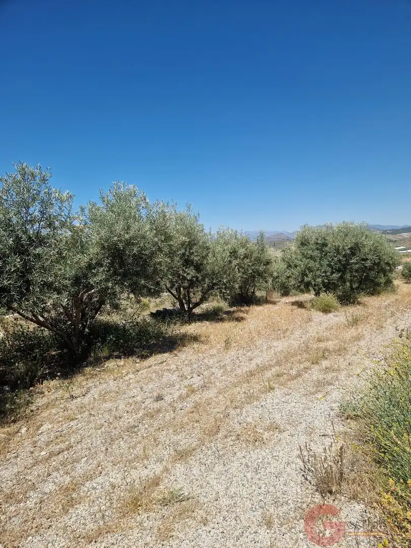 Casa rustica in vendita a Los Tablones - La Garnatilla, imagen 23
