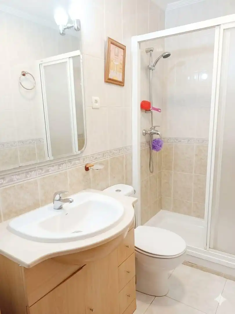 Bany de Casa o xalet en venda en Piedrabuena amb Calefacció, Jardí privat i Terrassa