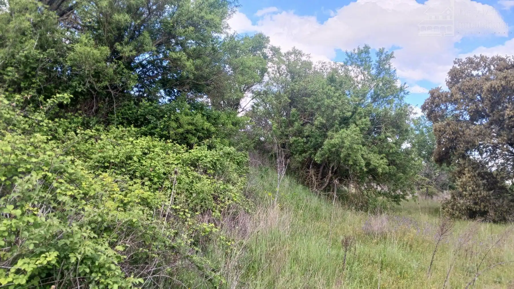 Lands and plots for sale in Valverdón, imagen 17
