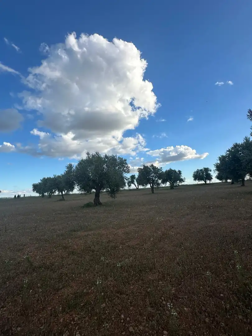 Terreno rústico en venta en Boca Zorra, imagen 6
