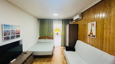 Photo 3 of Study to rent in Zona Playa de los Locos, Alicante