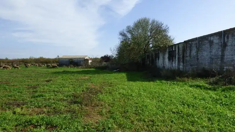 Nave industrial en venta en Puebla de la Calzada