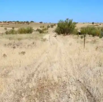 Terrenys i solars en venda a Higuera de Llerena, imagen 3