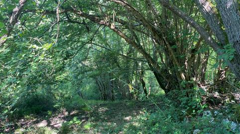 Foto 2 de Terreny en venda a Següenco, Cangas de Onís, Asturias