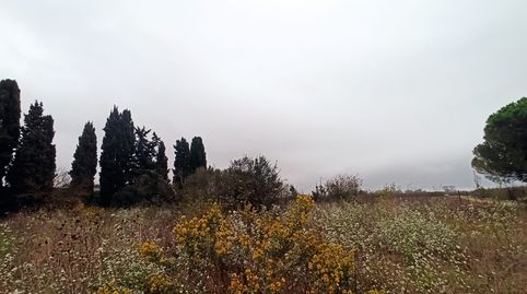 Foto 4 von Grundstücke zum Verkauf in Carrer de Migjorn, Ventalló, Girona