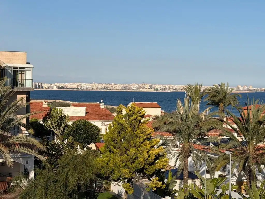 Vista exterior de Apartament en venda en Torrevieja amb Aire condicionat, Jardí privat i Piscina