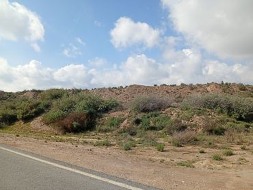 Terreno rustico in vendita a Rambla La Higuera