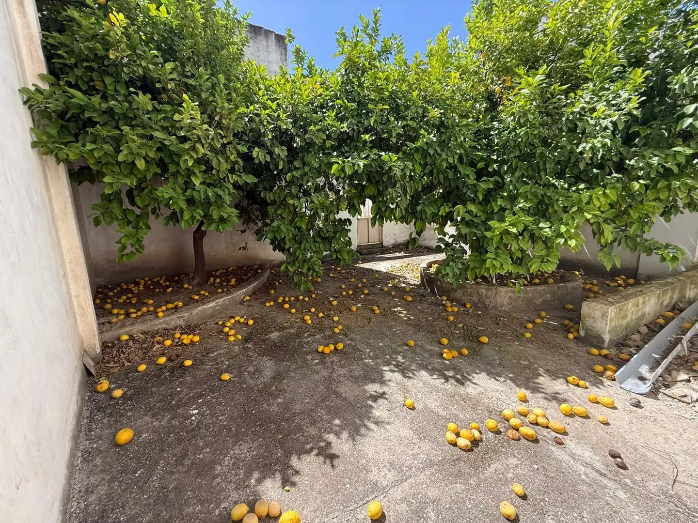 House with terrace for sale in Calle GRAMA, imagen 24