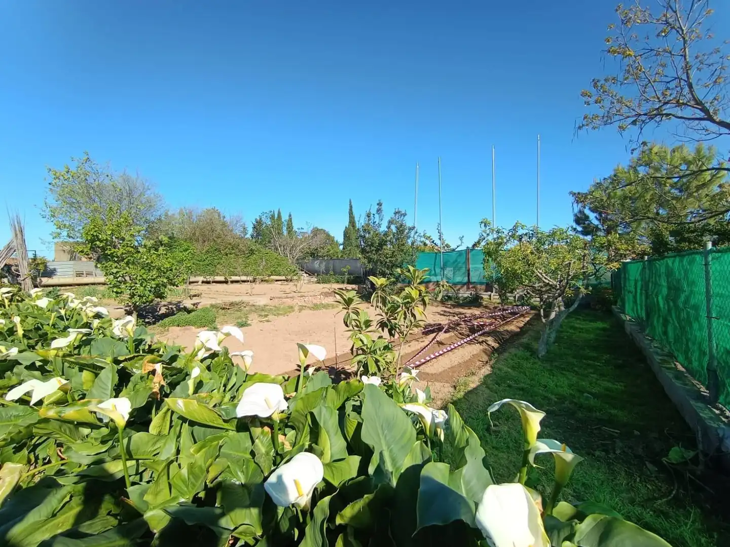 Jardín de Finca rústica en venta en Monzón con Calefacción, Jardín privado y Terraza