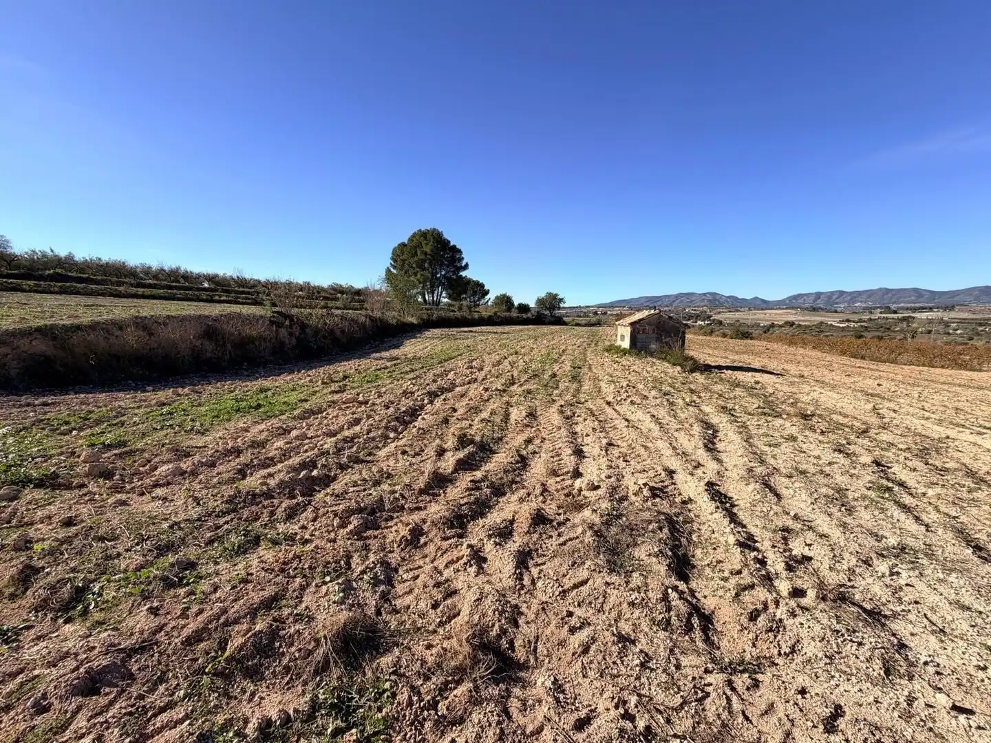 Terreno rustico in vendita a Albaida, imagen 10