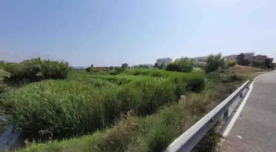 Terreny rústic en venda a PT 22-UE-R Ptda Patos, imagen 6
