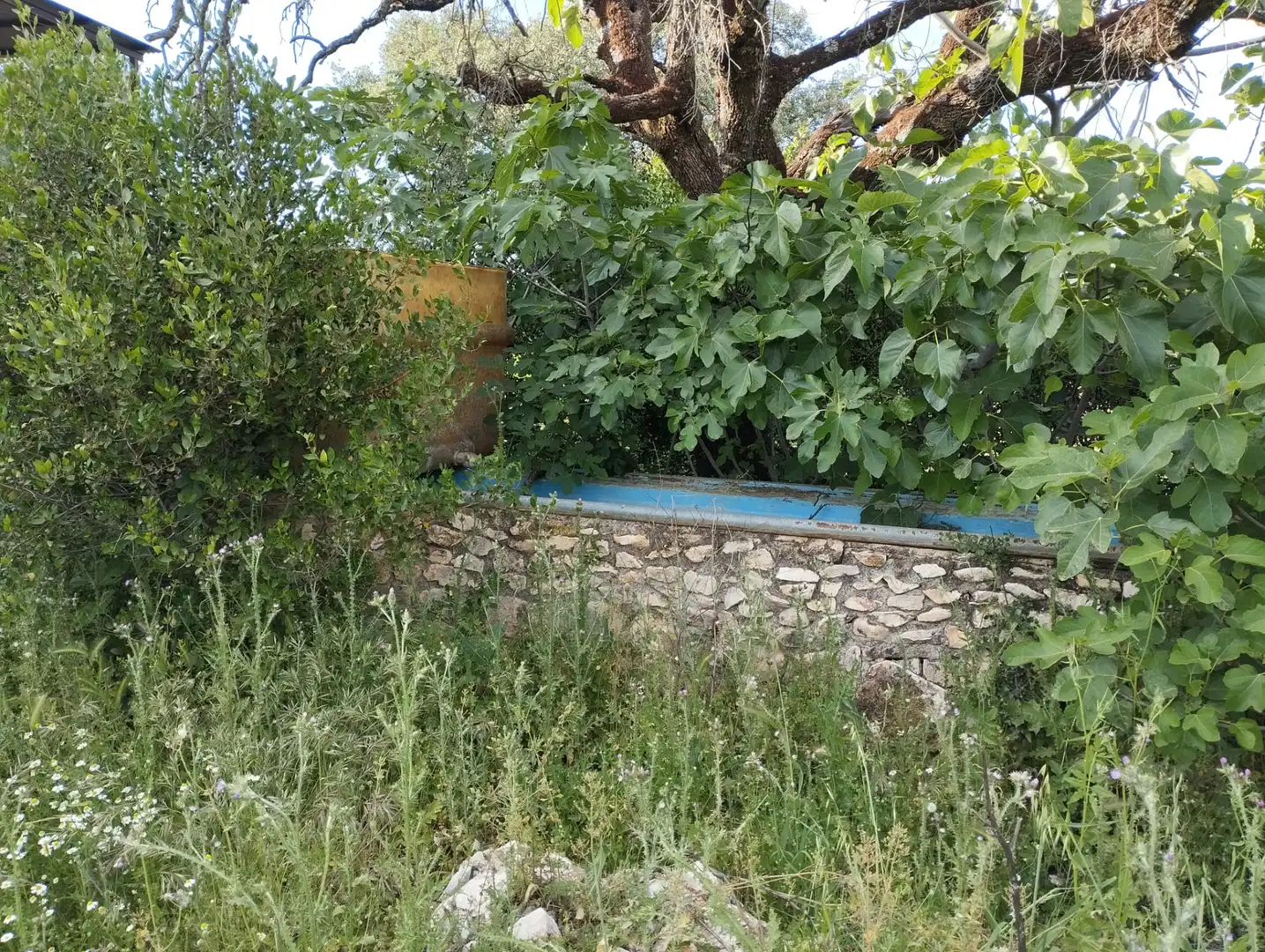 Terreno rustico in vendita a Calle Doña Mencía, imagen 16