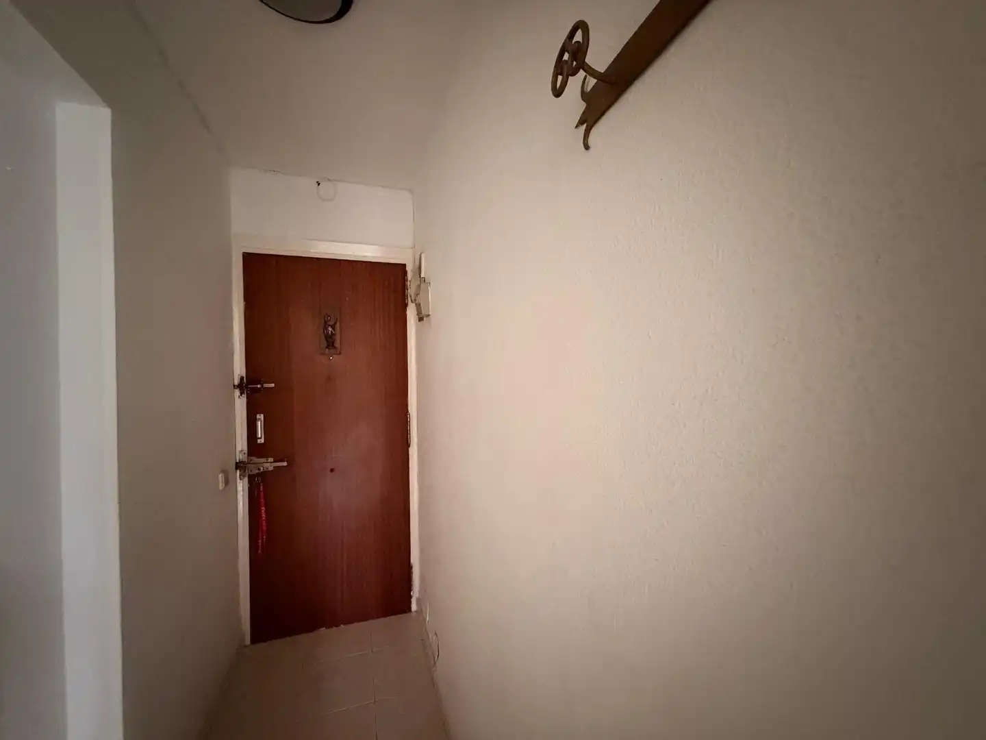 Apartments for rent in Solymar