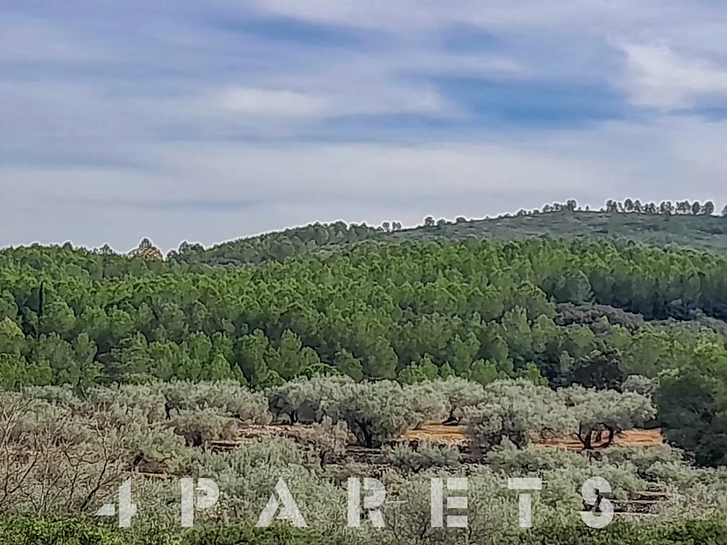 Rural land for sale in Cervera del Maestre, imagen 10