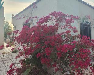 Jardí de Casa o xalet en venda en Elche / Elx amb Aire condicionat, Calefacció i Terrassa
