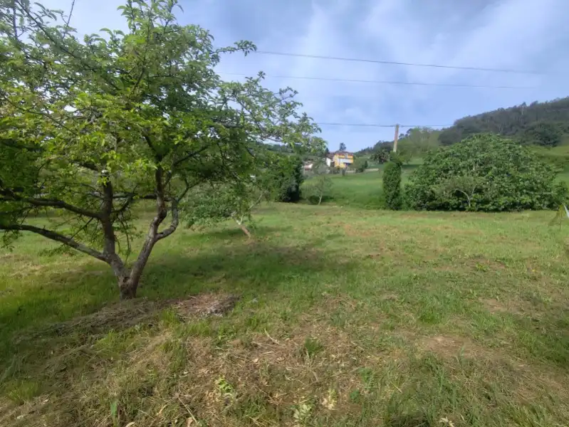 Terreni e lotti in vendita a Pravia, imagen 3