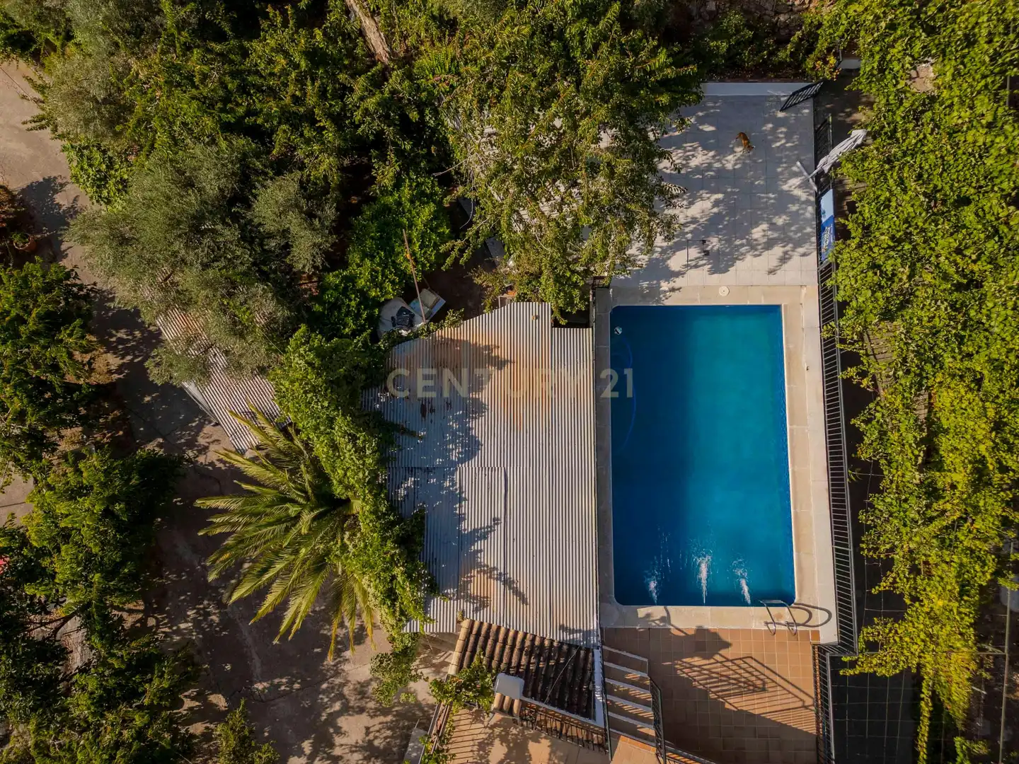 Piscina de Casa o chalet en venta en Güéjar Sierra con Jardín privado, Trastero y Piscina