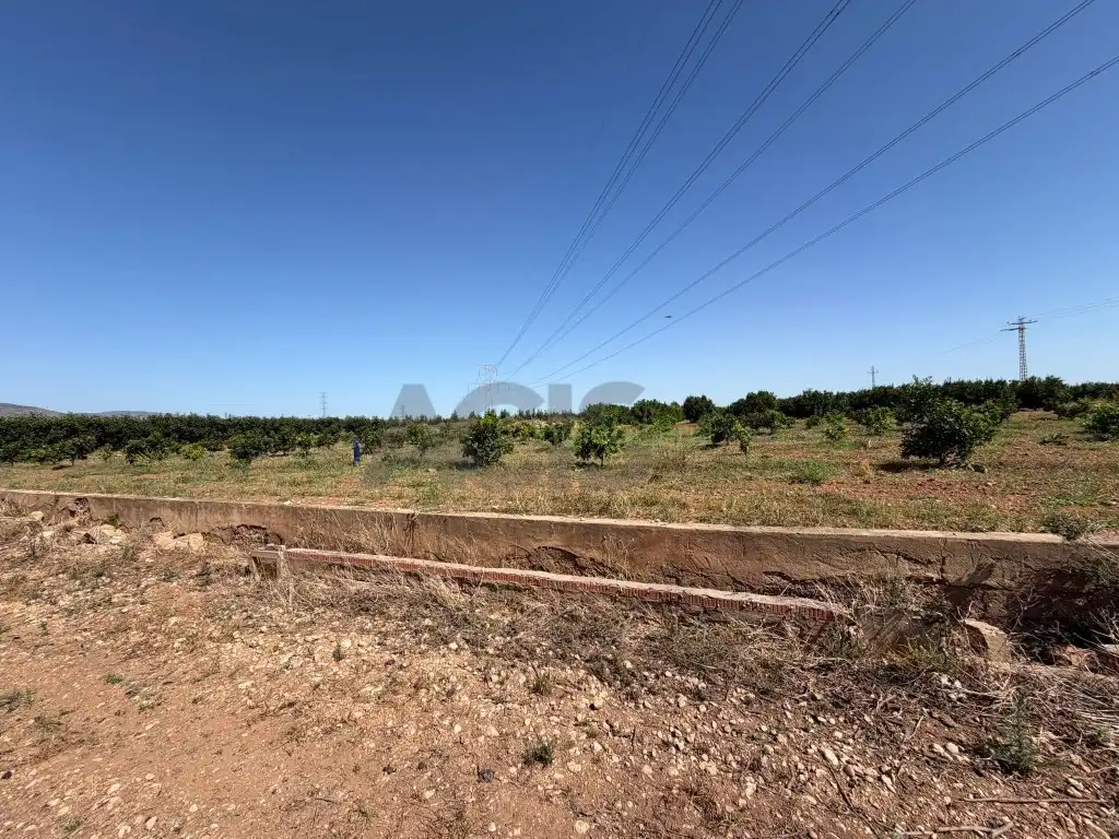 Finca rústica en venda en Carlet amb Jardí privat i Terrassa