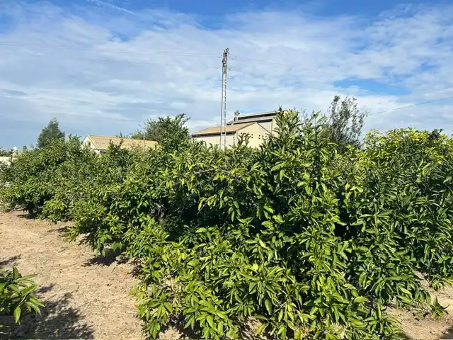 Country homes for sale in Sueca  with Private garden