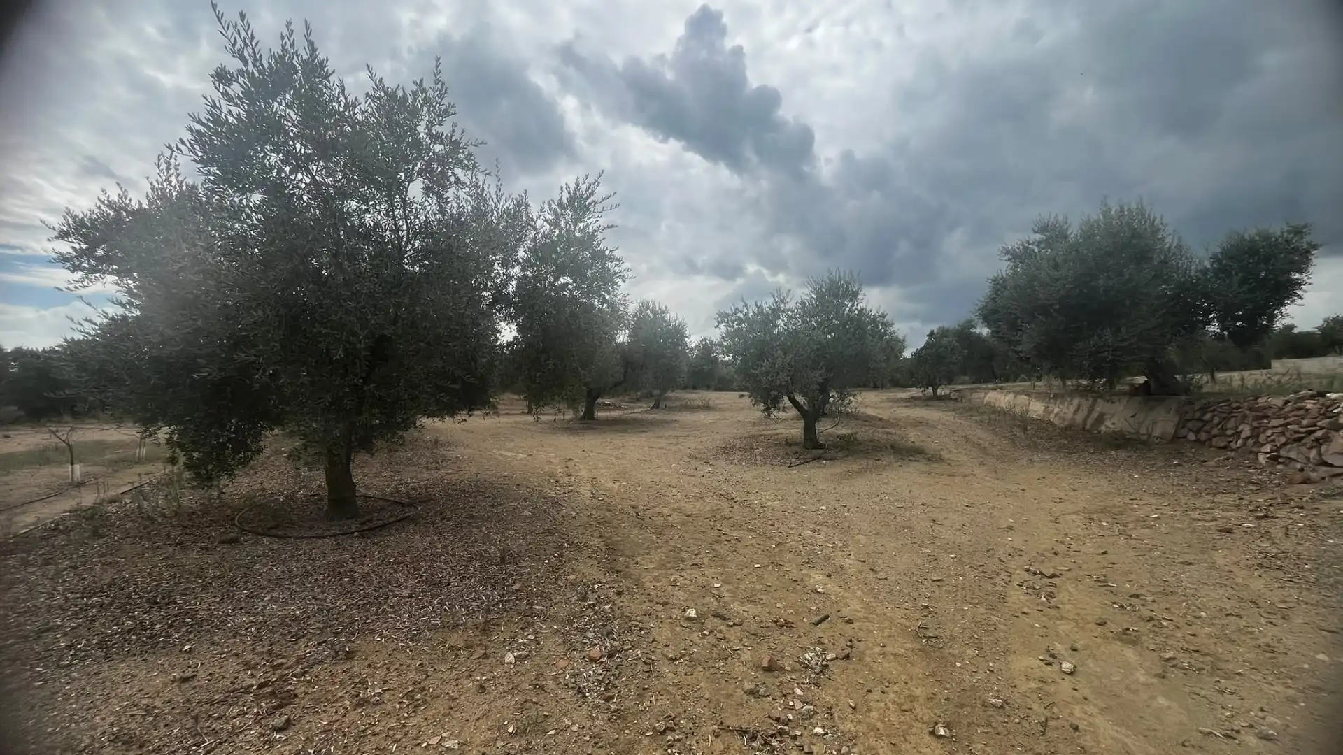 Terreno rustico in vendita a Carrer de Sant Abdó i Sant Senén, imagen 37