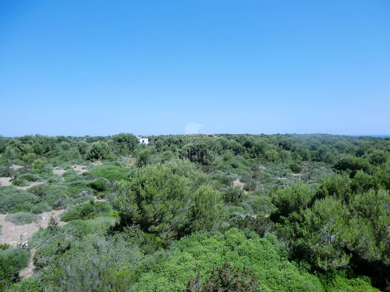 Terreno en venta en Ciutadella de Menorca