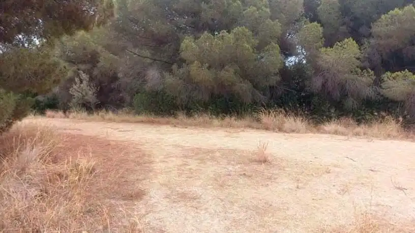 Terreno residencial en venta en lugar Arenys A Canet, imagen 3