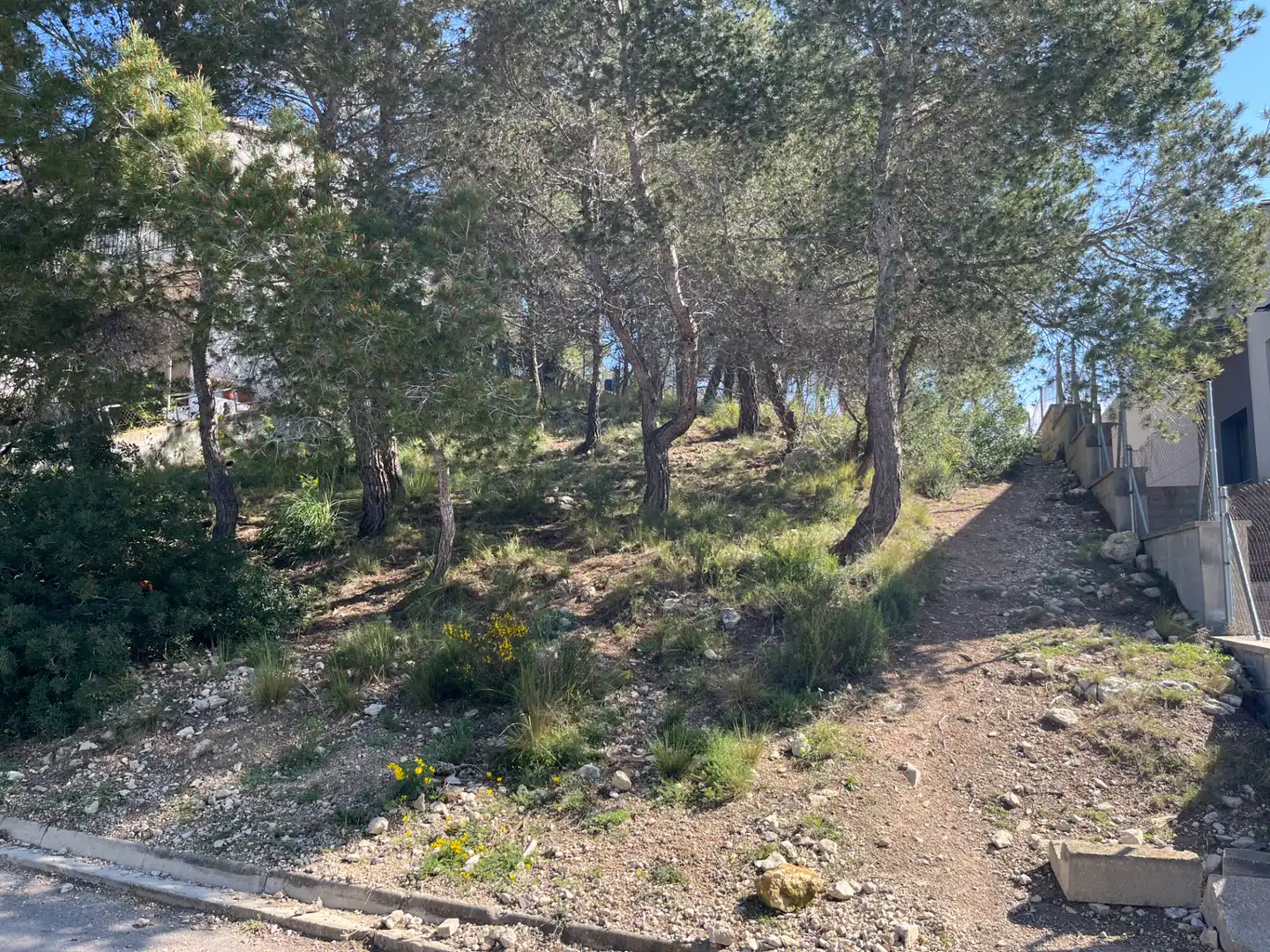 Terreno residencial en venta en Passeig Pins 4, imagen 5