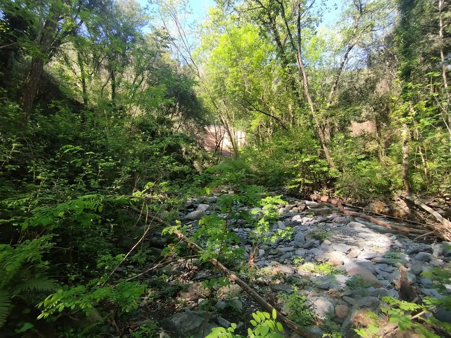 Finca rústica en venda en Sant Esteve de Palautordera