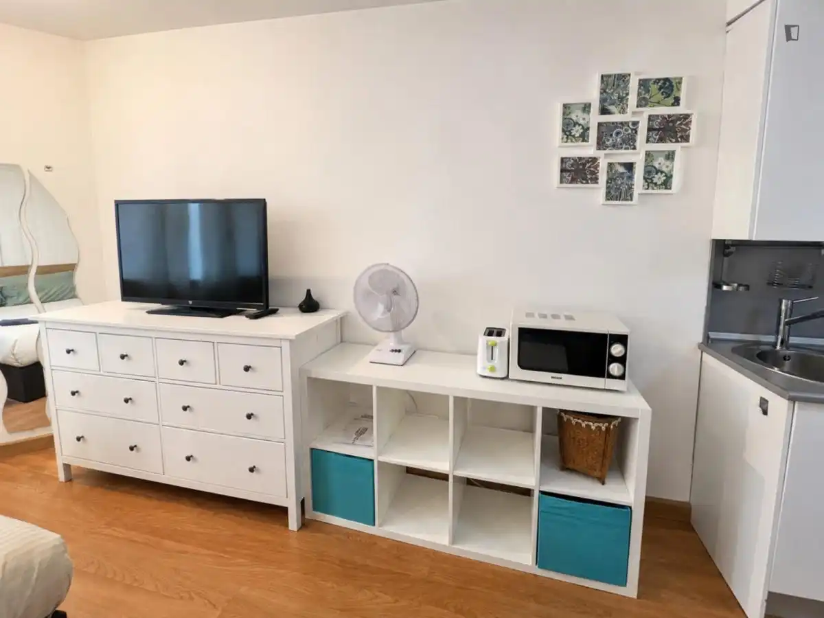 Sala de estar de Estudio de alquiler en Madrid con Aire acondicionado, Amueblado y Horno